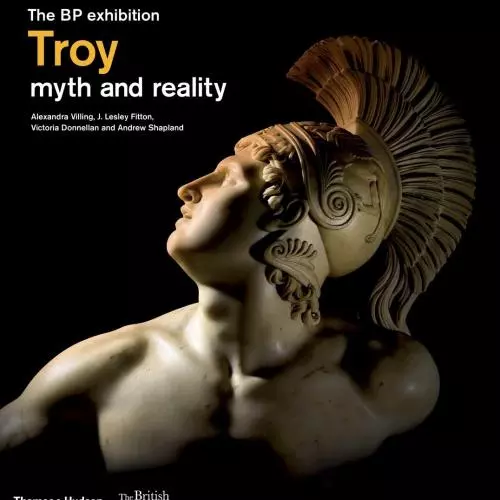 troy exhibition catalogue image