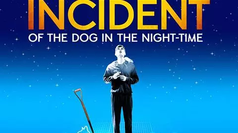 curious incident of the dog in the night-time