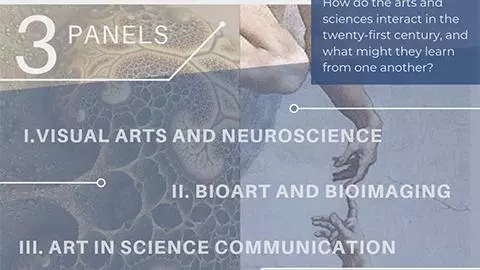interrogating the art-science relationship